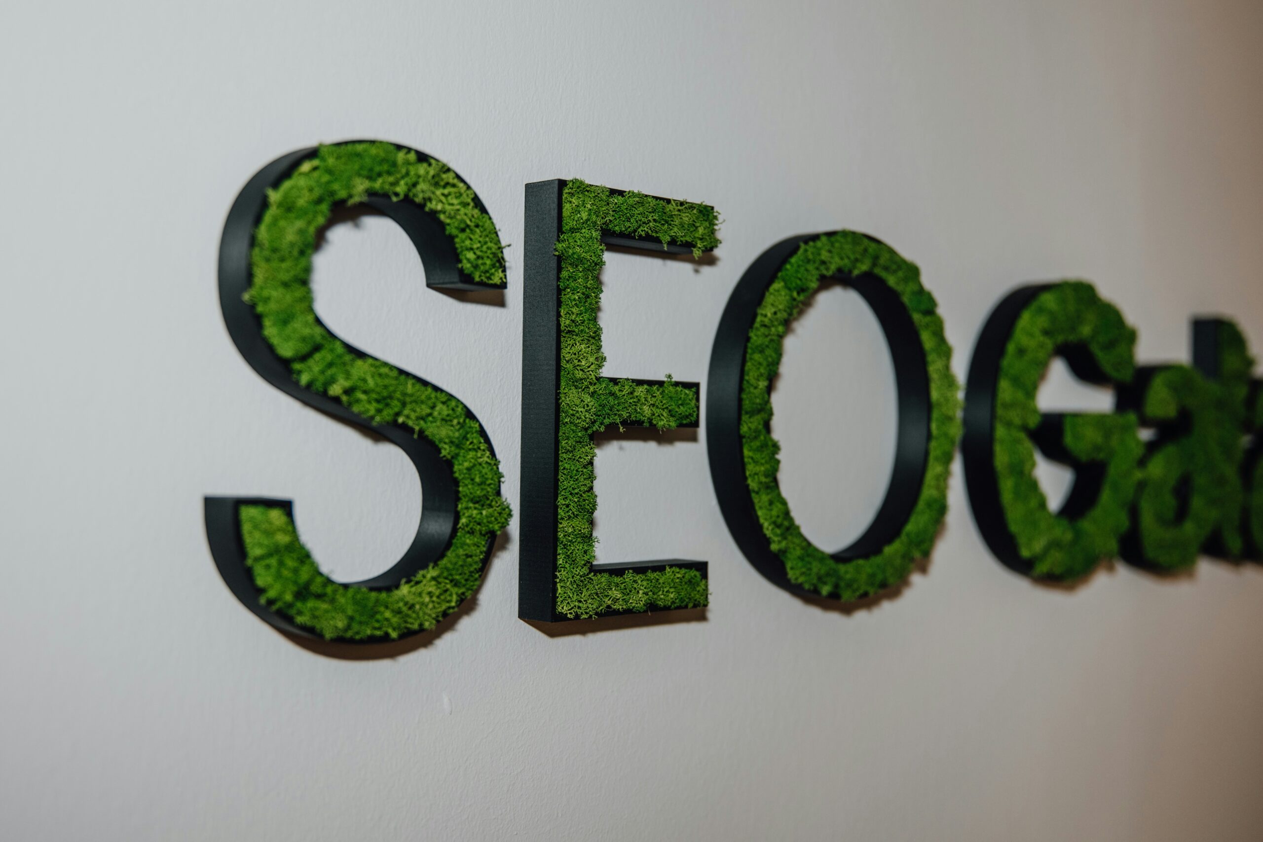 Organic SEO Services 1 Organic SEO